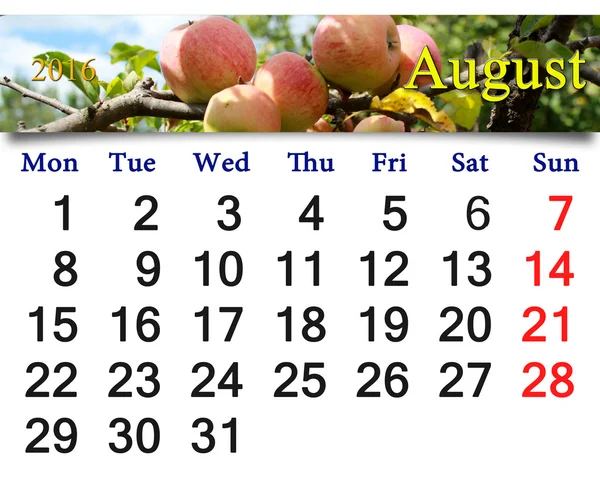 Calendar for August 2016 year with apples — Stock Photo, Image