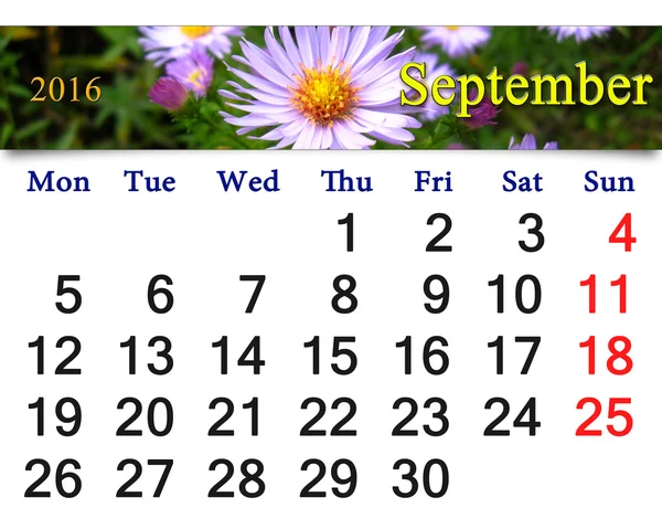 Calendar for September 2016 with the pink asters — Stock Photo, Image