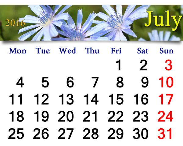 Calendar for July 2016 year with flowers of Cichorium — Stock Photo, Image
