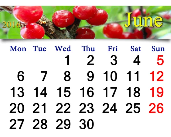 Calendrier pour juin 2016 avec baies rouges de Prunus tomentosa — Photo