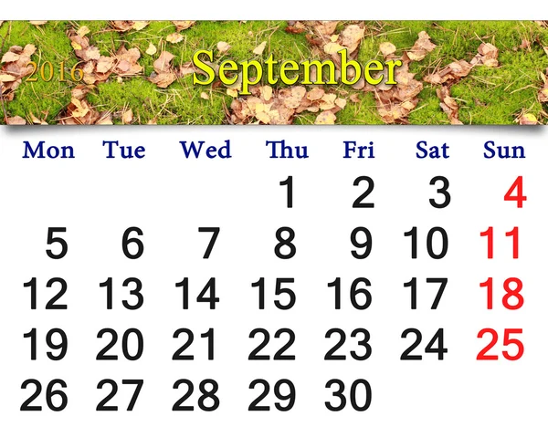 Calendar for September 2016 with the moss and leaves — Stock Photo, Image