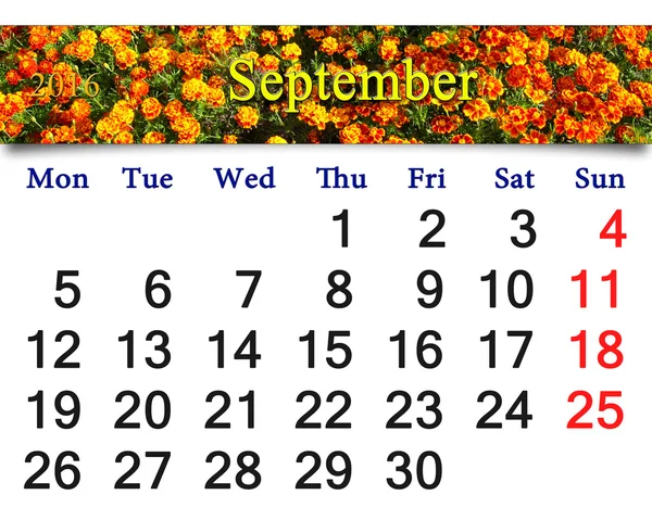Kalender voor September 2016 met Afrikaantje — Stockfoto