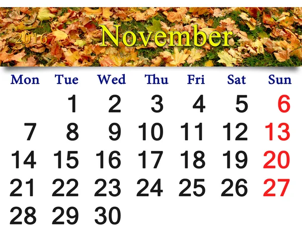 Calendario para noviembre 2016 con el musgo y hojas — Foto de Stock