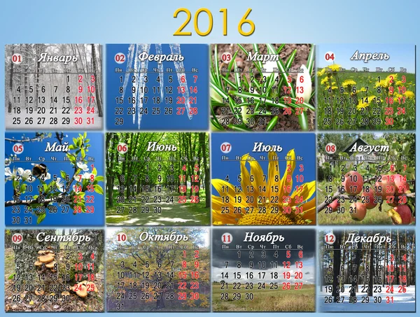 Calendario 2016 con dodici foto della natura — Foto Stock