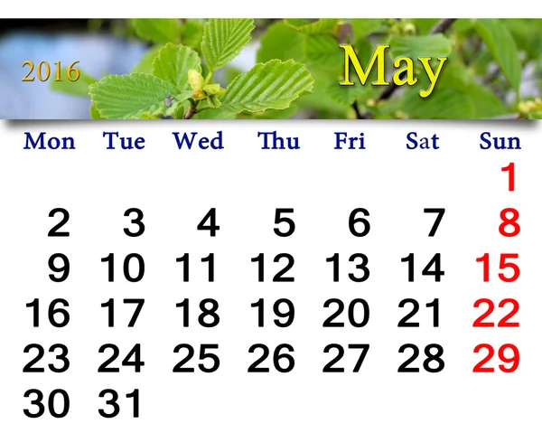Kalendář na květen 2016 s listy, olše — Stock fotografie