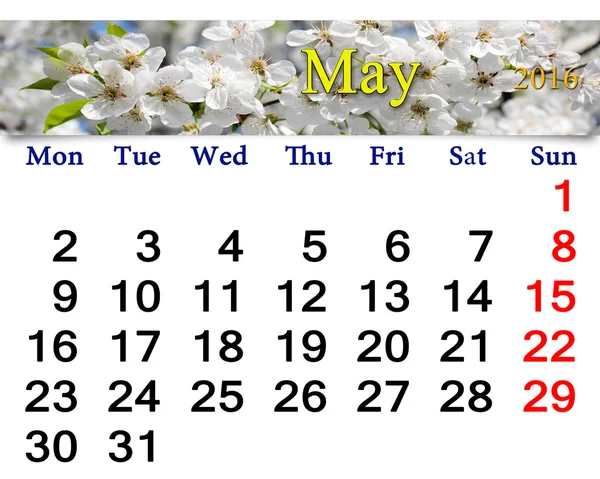 calendar for May 2016 with blooming cherry