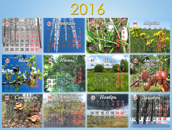 Calendario per il 2016 in russo con foto della natura — Foto Stock