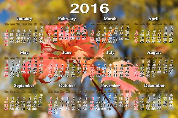 Calendar for 2016 with red maple leaves — Stock Photo, Image