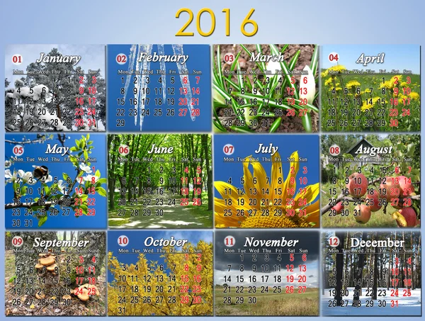 Calendario 2016 in inglese con foto per ogni mese — Foto Stock