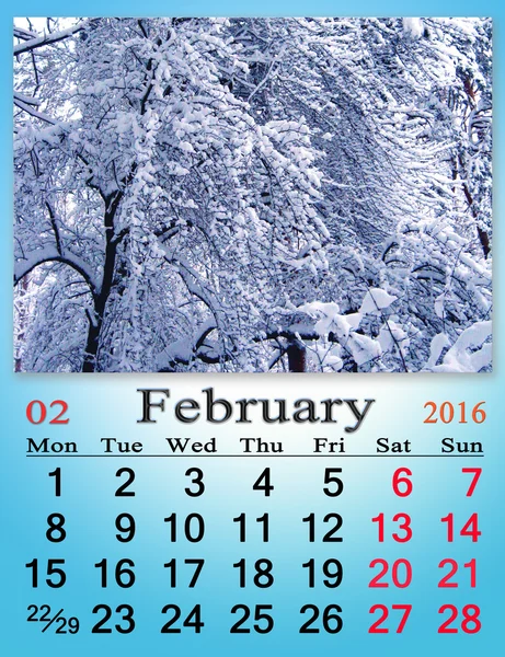 Calendar for February 2016 with snowy branches of trees — Stock Photo, Image