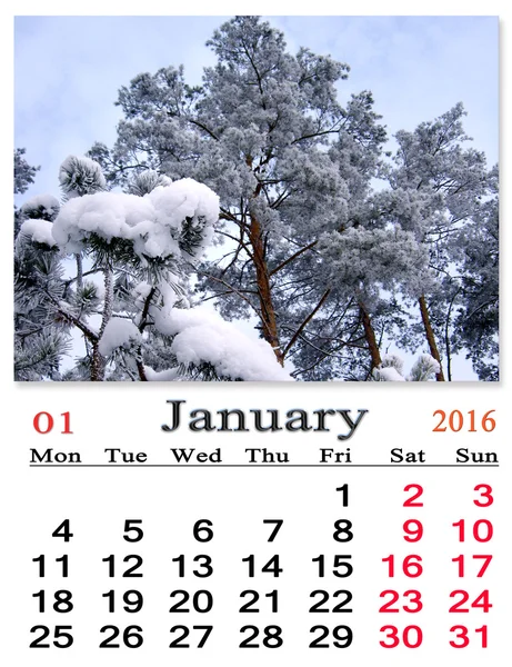 Kalender för januari 2016 med tallar täckt av snö — Stockfoto