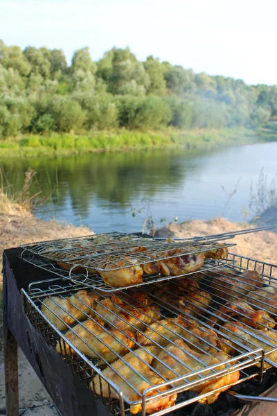 Barbacoa de pollo 's carne cocinada en la naturaleza — Foto de Stock