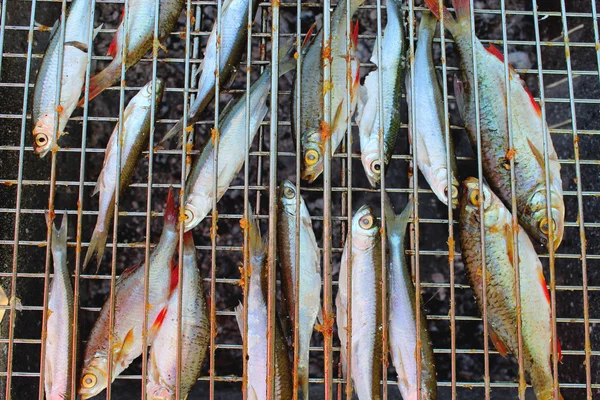 Gegrilde vis van Alver en ruud — Stockfoto