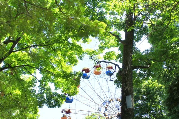 Ferris wheel in het park met bomen — Stockfoto