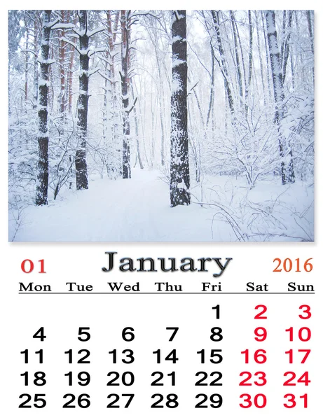日历2016年1月与在雪中的桦树 — 图库照片