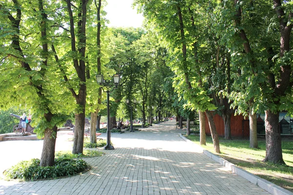 Городской парк с дорожкой и зелеными деревьями — стоковое фото