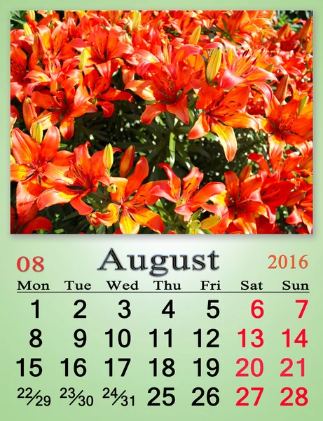 Calendar for August 2016 with red lilies — Stock Photo, Image