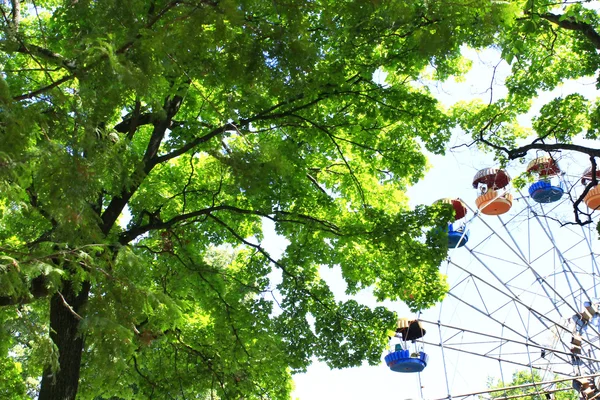 Ruota panoramica nel parco — Foto Stock