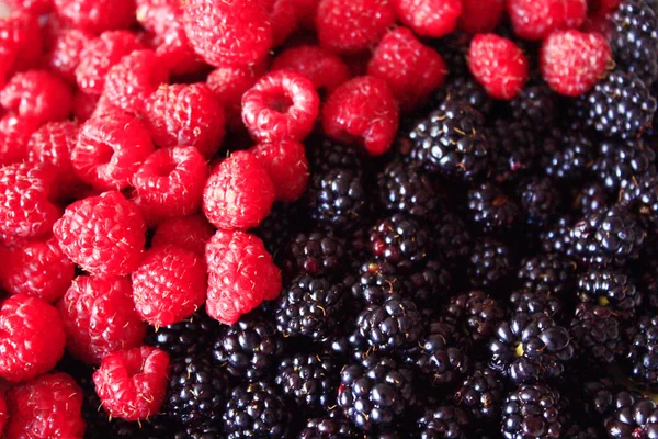 Blackberries and raspberry — Stock Photo, Image