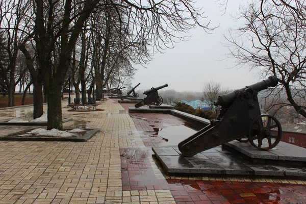 Starych armat w parku w lutym ponury — Zdjęcie stockowe