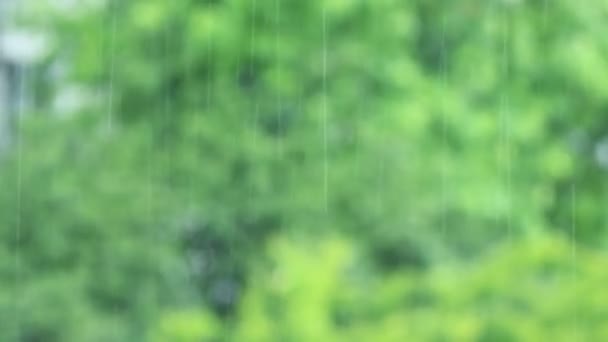 il pleut derrière la fenêtre 