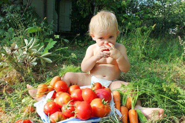 Bebê come tomates maduros — Fotografia de Stock