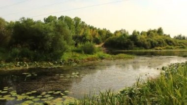 nilüferler ile pitoresk gölet ile manzara