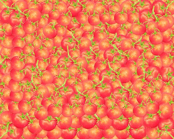 Texture de tomates rouges et mûres — Photo