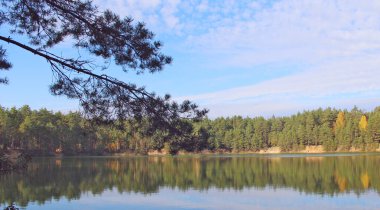 Çam ormanında zümrüt suyu olan güzel bir orman gölü. Harika doğal manzara. Su panoraması. Vahşi doğa.