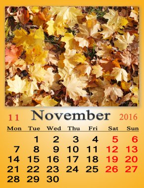 Sarı yaprakları ile Kasım 2016 için takvim