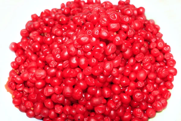 Heap of red and ripe berries of schisandra isolated — Stock Photo, Image