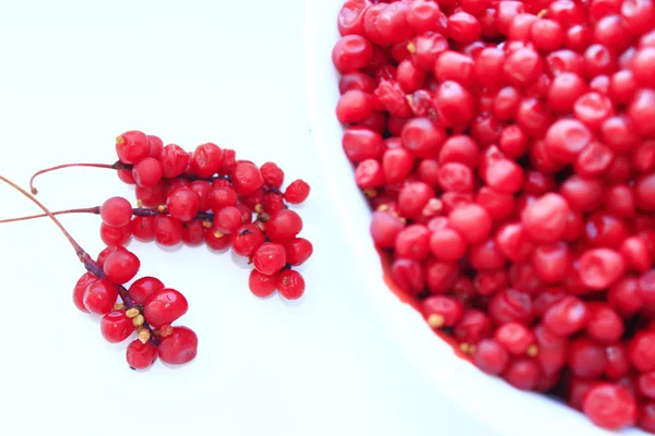 Full plate of red ripe schisandra isolated — Stock Photo, Image