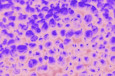 mikroskop altında genişlemiş molekülleri