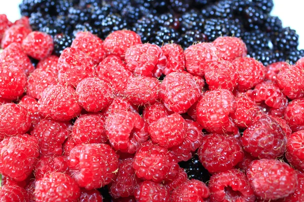 Moras y frambuesas — Foto de Stock