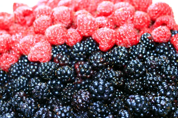 Blackberries and raspberry — Stock Photo, Image