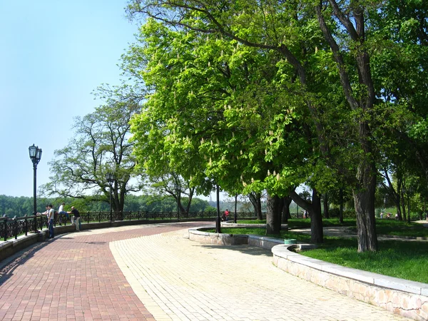 Hermoso parque con árboles verdes — Foto de Stock