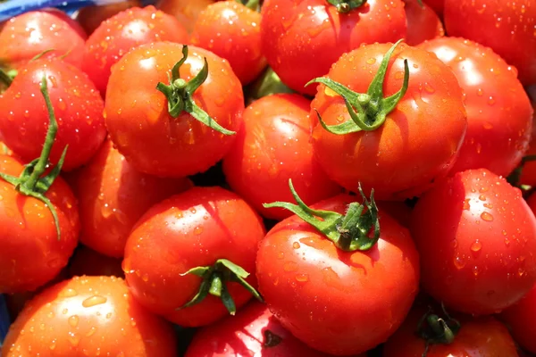 Tomates vermelhos maduros — Fotografia de Stock