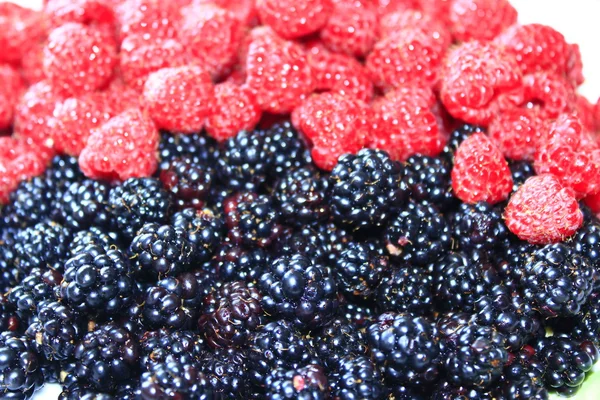 Blackberries and raspberry — Stock Photo, Image