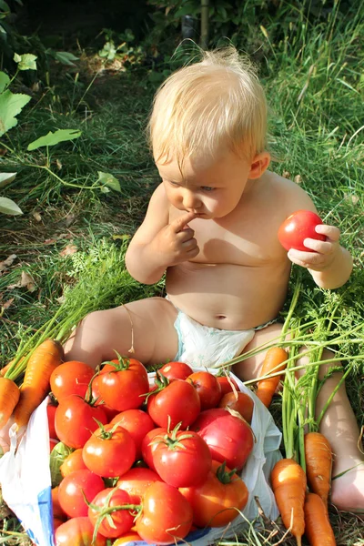 赤ちゃんは、完熟トマトを食べる — ストック写真