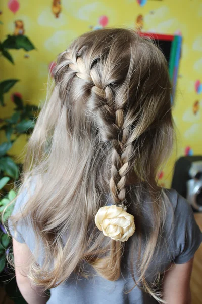 Girl with nice plaits — Stock Photo, Image