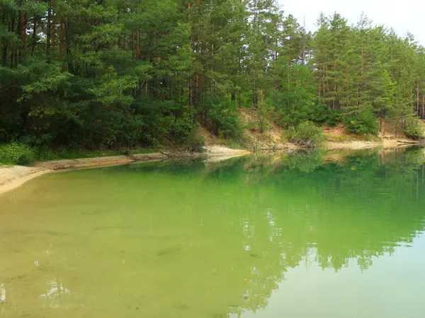 Beautiful forest lake — Stock Photo, Image