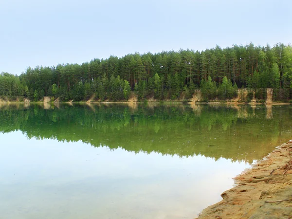 아름다운 숲 호수 — 스톡 사진