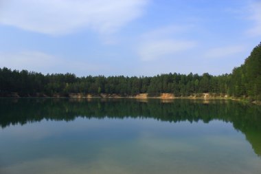 Ormandaki güzel göl