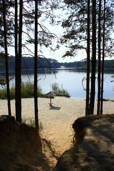 Jezioro piękny las z piaszczystej plaży — Zdjęcie stockowe