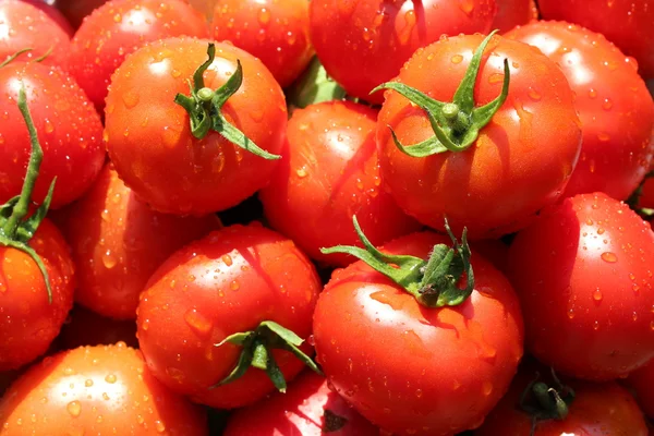 Montón de tomates rojos — Foto de Stock