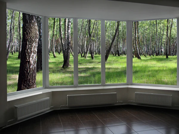 Janelas de plástico com vista para o bosque — Fotografia de Stock