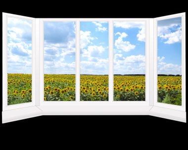 Ayçiçeği tarlası bakan plastik pencereler