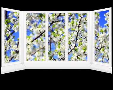 Windows ve erik ağacı dalları ötesinde