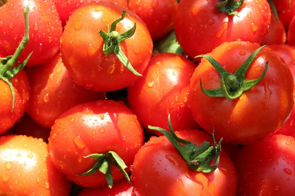 红色西红柿的堆 — 图库照片