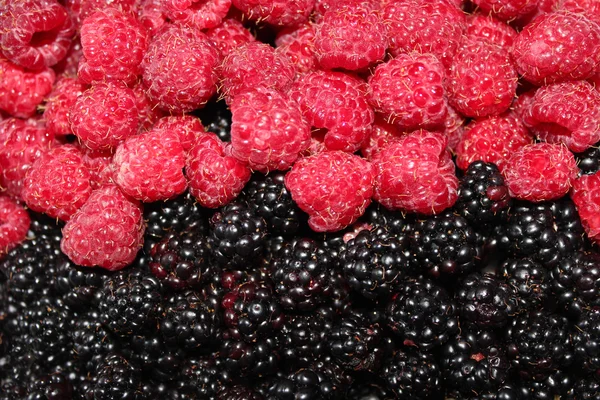 Halom blackberry és a málna — Stock Fotó